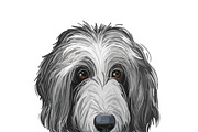 Poodle Cross Breeds 27 Dogs/Puppies, an Animal Illustration by Dneprstock (Thumbnail 19 of 27)