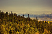 Feeling Horizon for $10, a Templates & Theme by Feelings (Thumbnail 3 of 5)