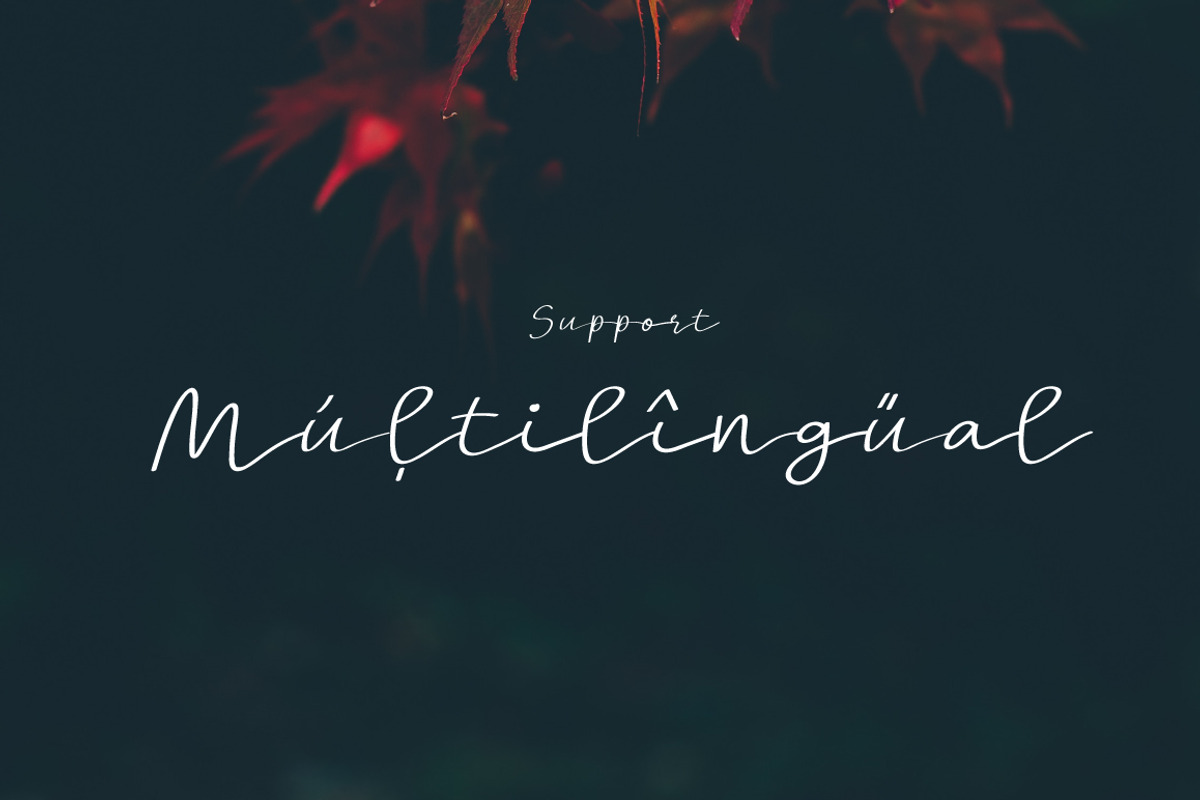 New! Pamela | Script Font preview 7
