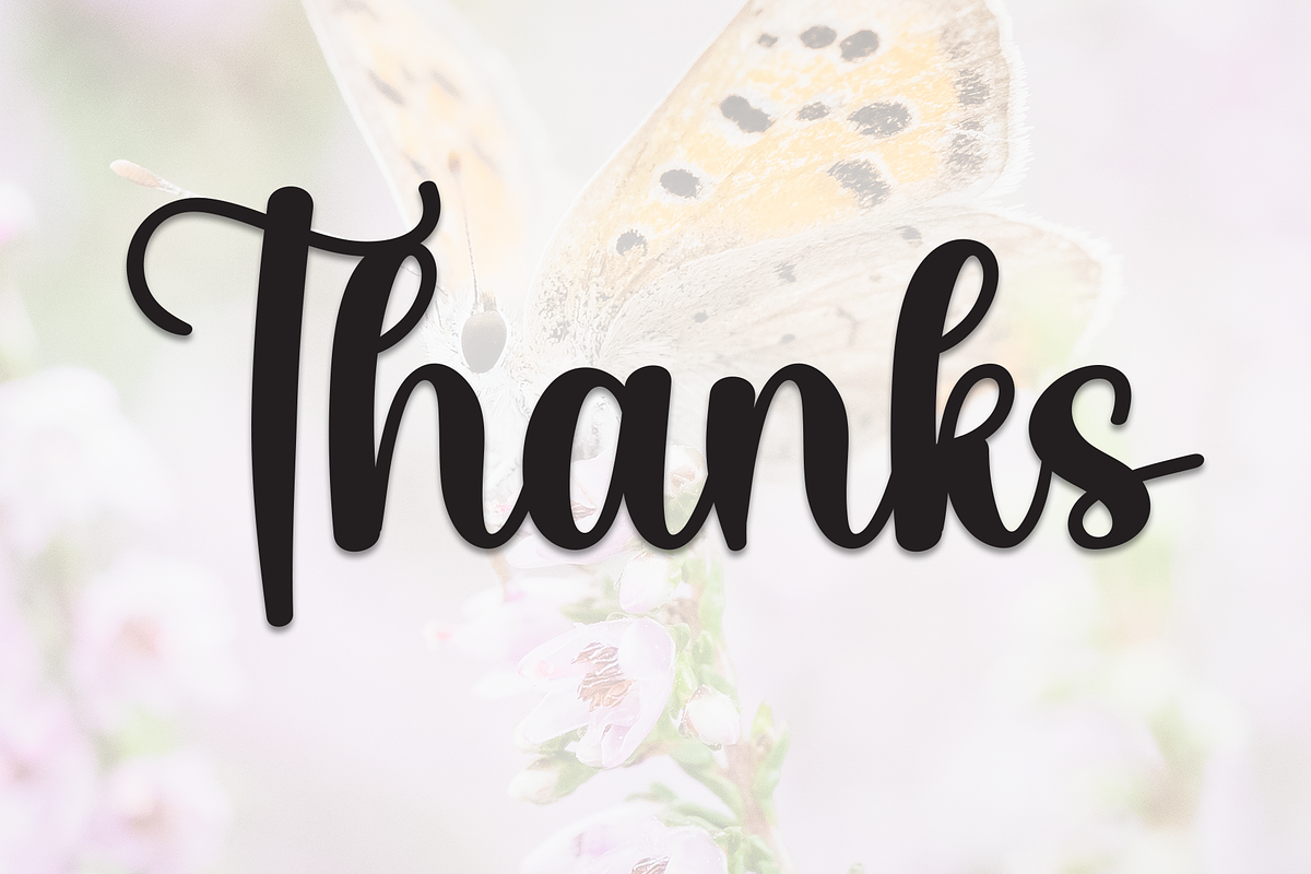 Butterfly | Script Font, a Handwritten Font by Scratchones (Photo 9 of 9)