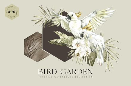 "BIRD GARDEN" Tropical collection
