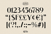 Aesthetic Romance, a Sans Serif Font by Sign Studio (Thumbnail 16 of 16)