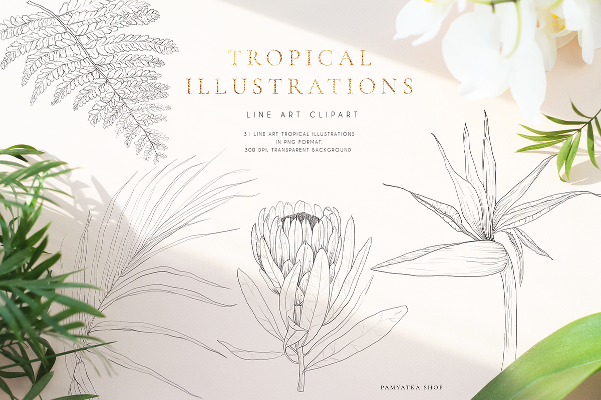 Tropical paradise. Line art set, an Illustration by Pamyatka Shop (Photo 13 of 13)
