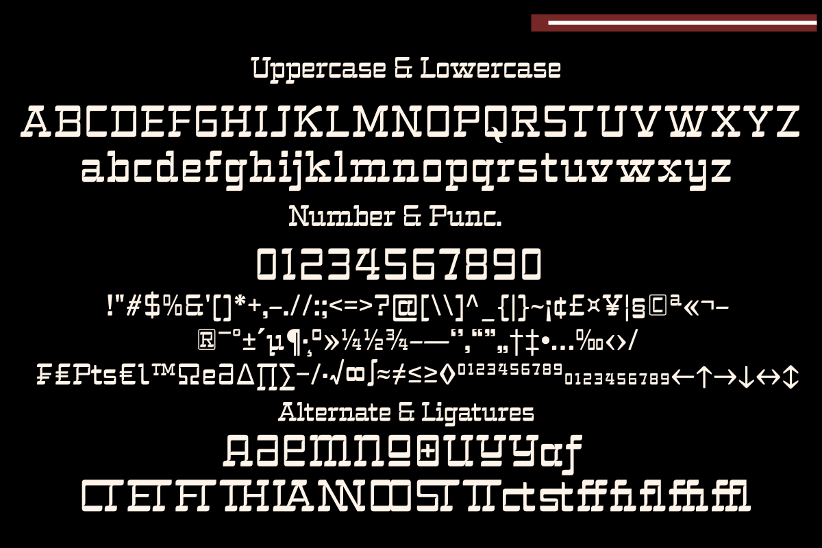 Mbledos Display, a Slab Serif Font by Differentialtype (Photo 9 of 12)