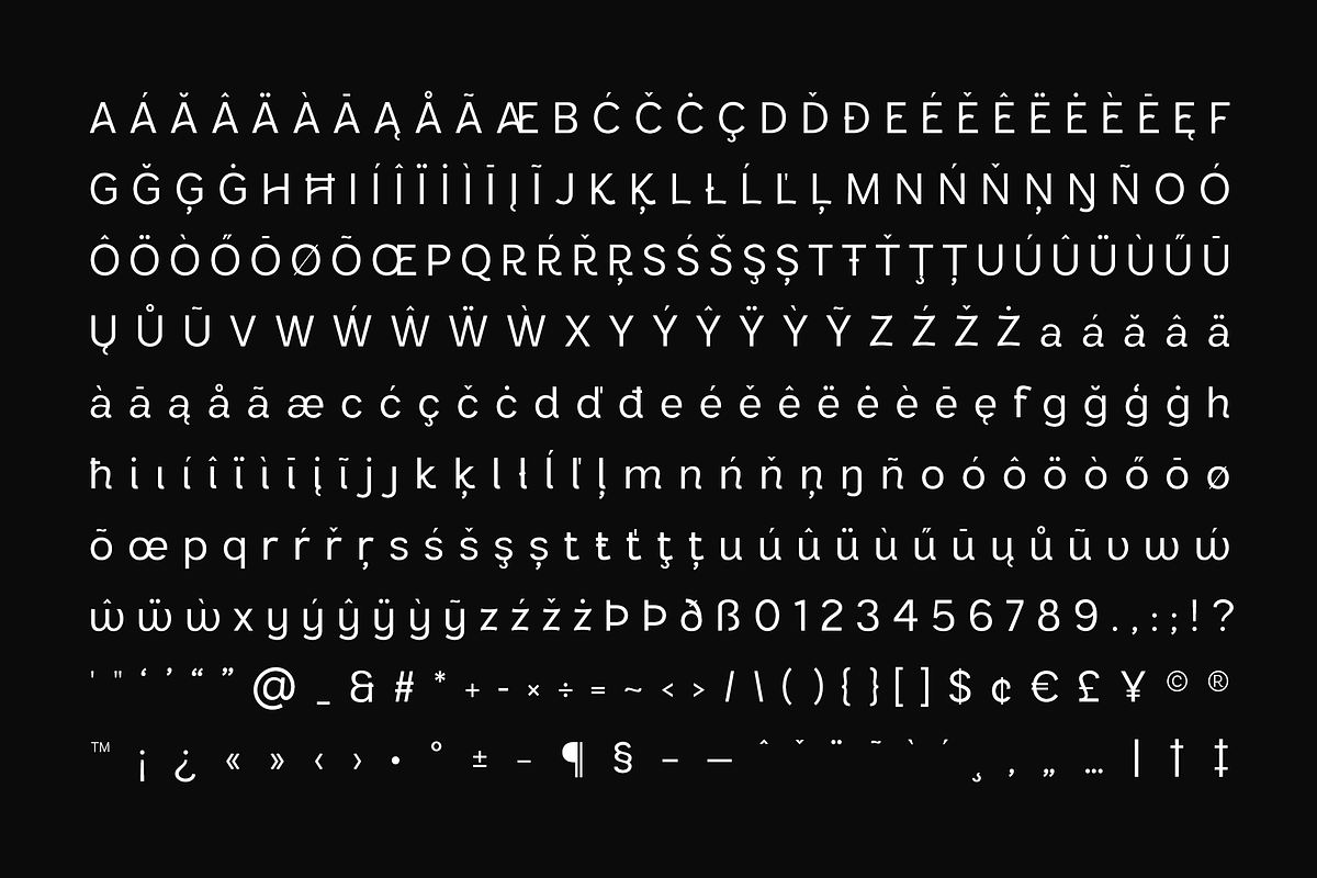 Sansform - Sans Serif Font Family, a Sans Serif Font by VP Fonts (Photo 17 of 19)