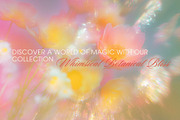 Whimsical Botanical Bliss Background, a Background Graphic by Anzhelika (Thumbnail 2 of 12)