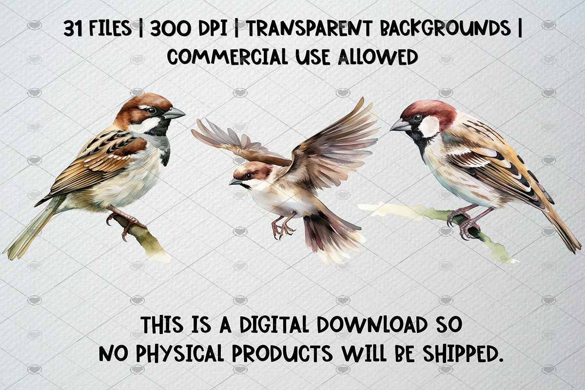 Watercolor Sparrow Clipart Set, an Animal Illustration by CropUp Creative (Photo 5 of 5)