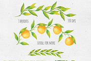 Tangerines. Watercolor collection, a Decorative Illustration by Maria's little shop (Thumbnail 3 of 11)