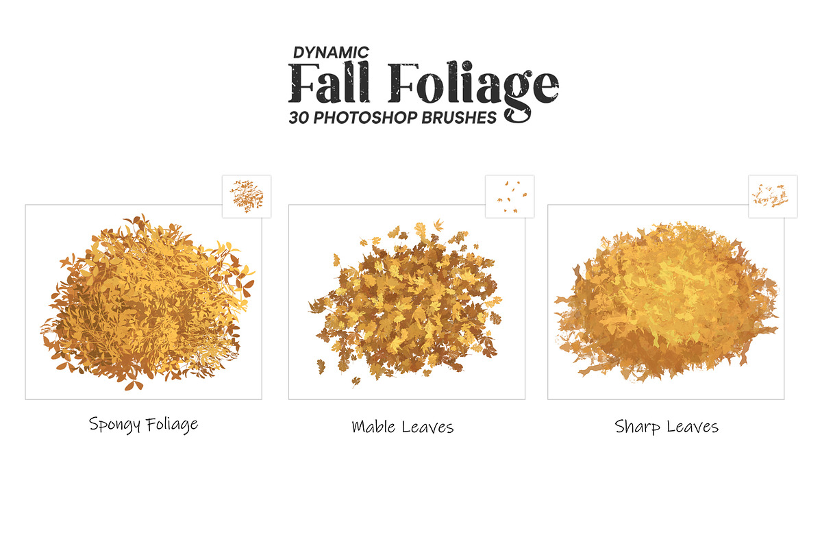 Autumn Fall Foliage Brushes, a Brush Add-On by Mohamed Saber (Photo 2 of 6)