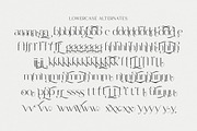Marie Cortney, a Serif Font by Stripes Studio (Thumbnail 12 of 14)