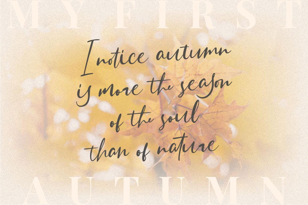 Sattersoon - Modern Script Font, a Script Font by Garisman Std (Photo 10 of 10)