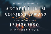 Camellia Japonica, a Serif Font by elevencreateam (Thumbnail 2 of 8)