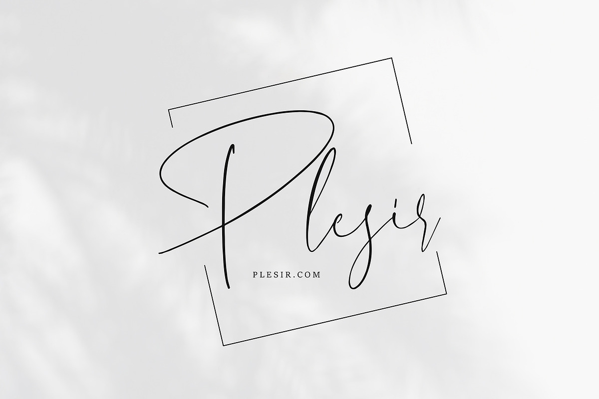 Sellicite Black Friday, a Script Font by pineungtype (Photo 3 of 7)
