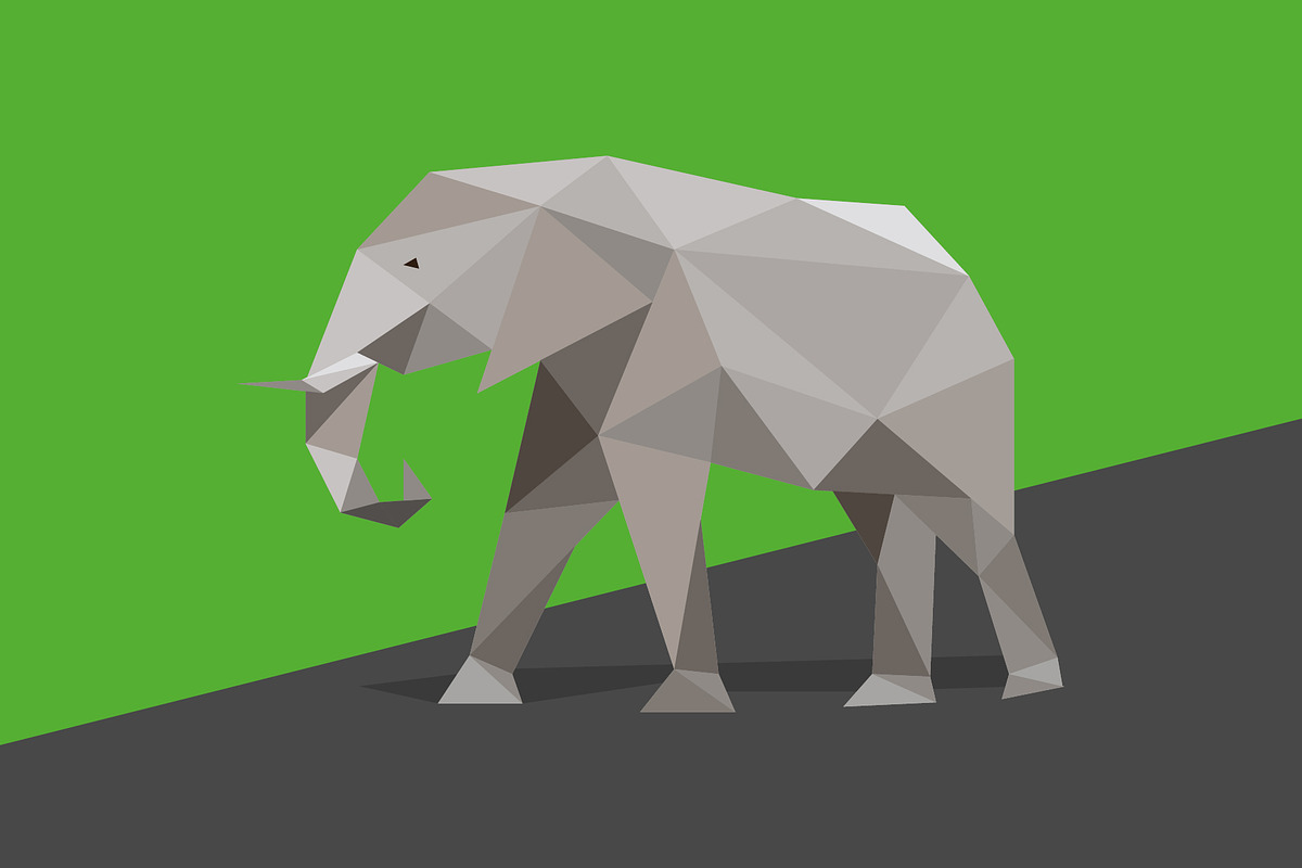Wild animals in low poly style, an Animal Illustration by Volkan Aydemir (Photo 7 of 12)