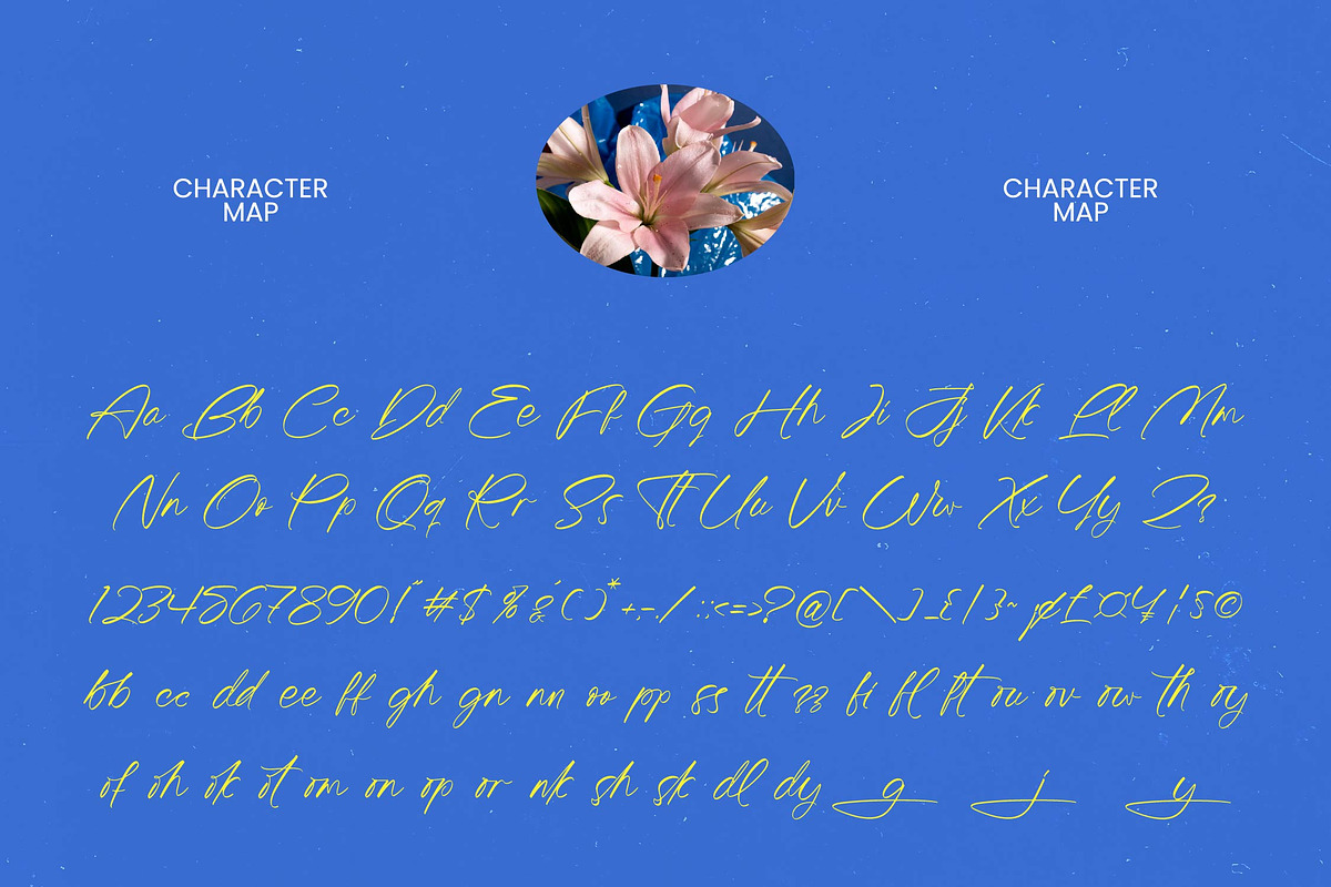 Tomyhesa Modern Handwritten, a Script Font by Letterena Studios Script (Photo 9 of 10)