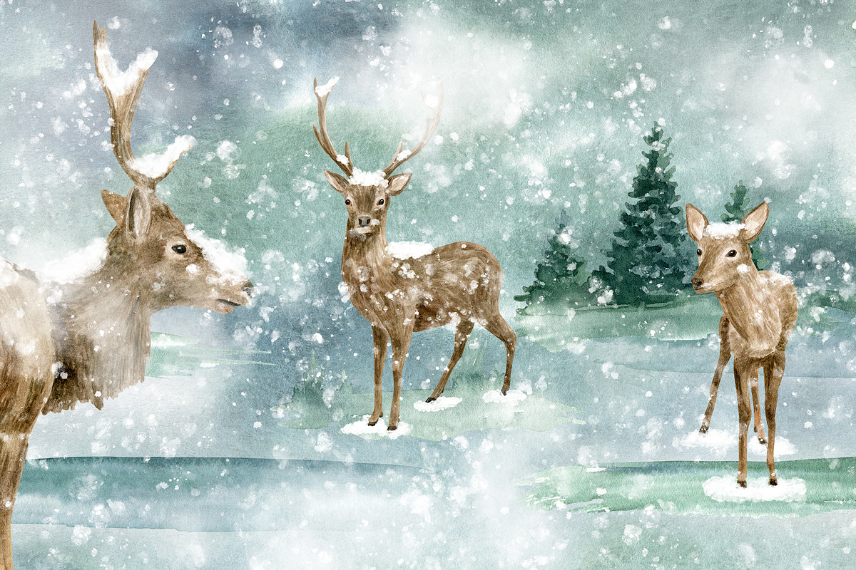 Winter Deer Watercolor Collection, an Animal Illustration by Olya Haifisch (Photo 2 of 9)