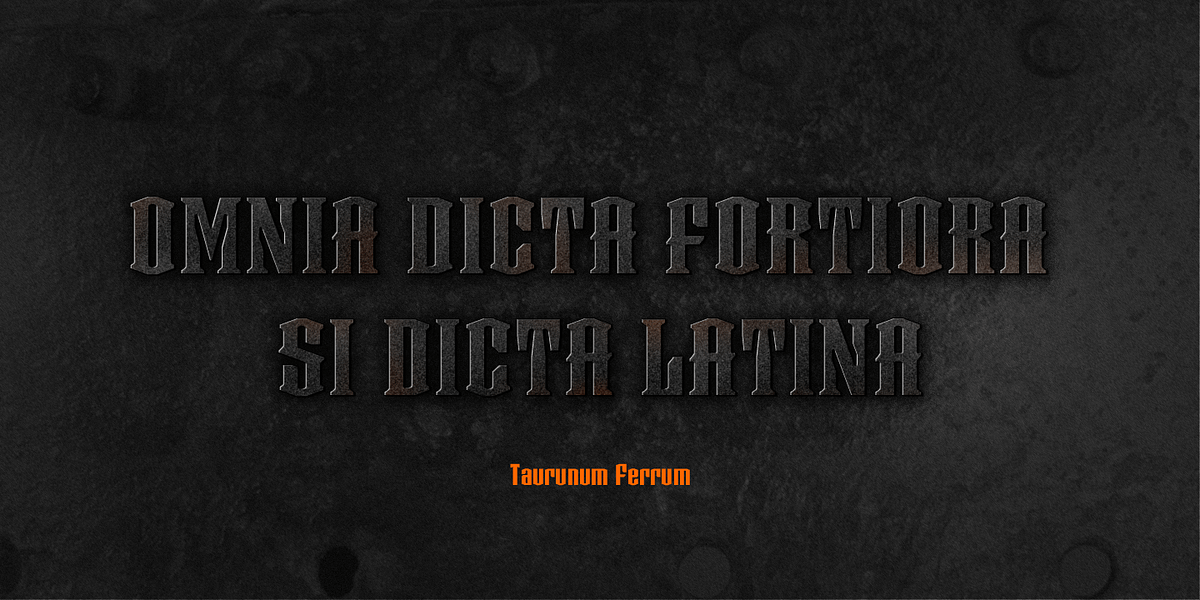 Taurunum Ferrum, a Sans Serif Font by Kostic Type Foundry (Photo 4 of 5)