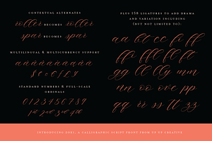 Zoxi, A Calligraphy Script Font