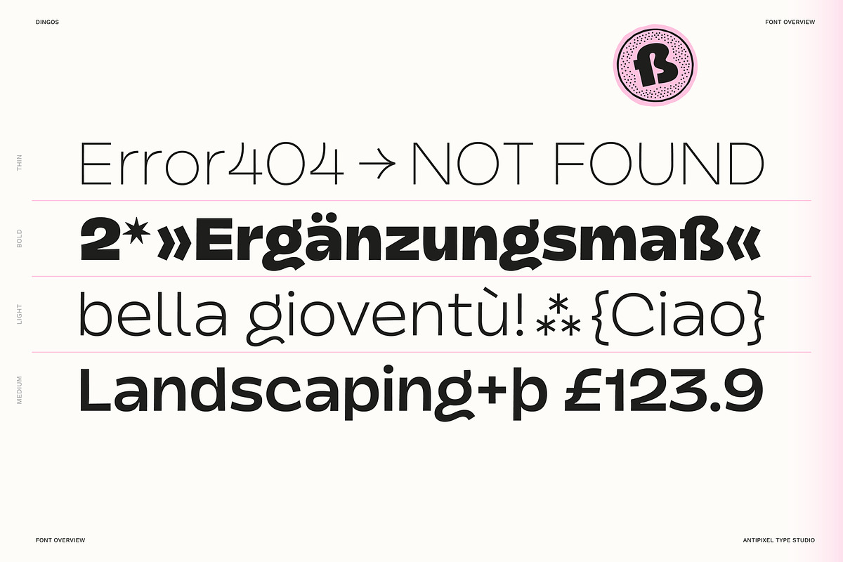 Dingos | Compact Chunky Display Sans, a Sans Serif Font by Antipixel Type Studio (Photo 11 of 16)