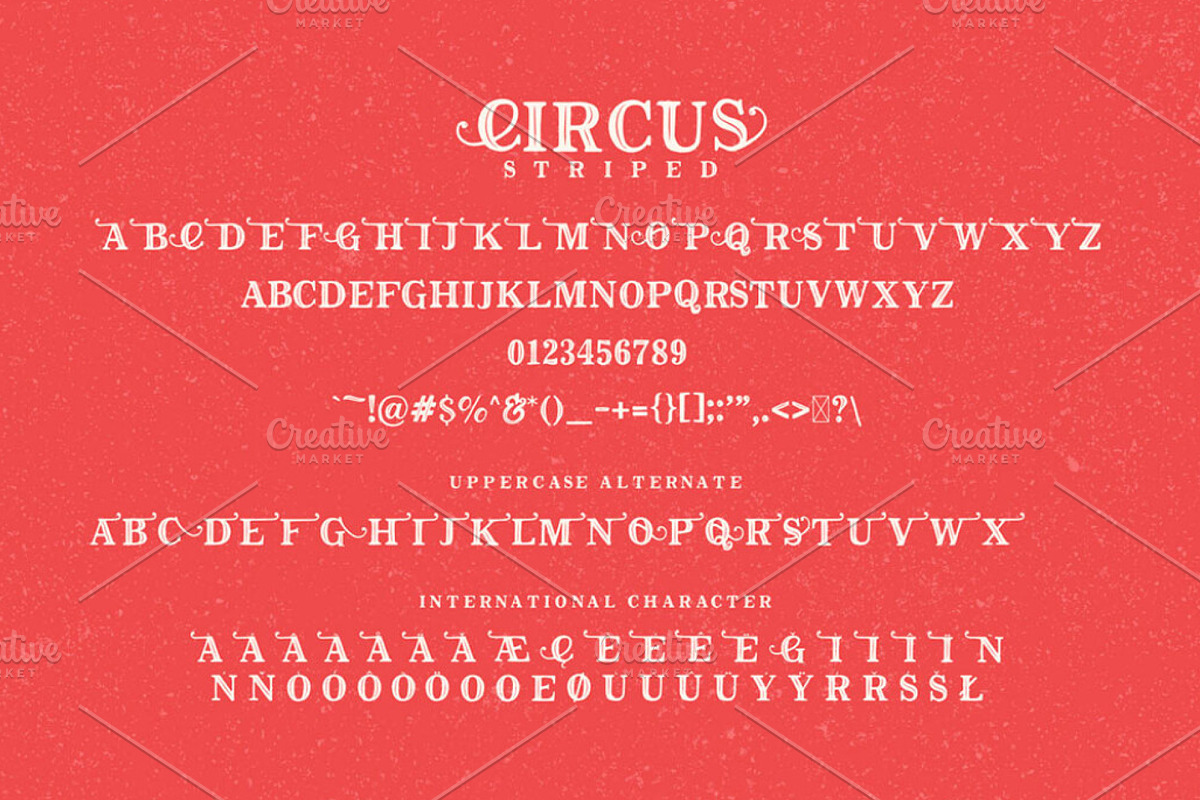 The Circus Display Font, a Handwritten Font by PremiumMockup (Photo 4 of 5)