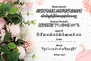 SALE! Sharely - Beautiful Brush Font, a Script Font by Arterfak Project (Thumbnail 11 of 12)