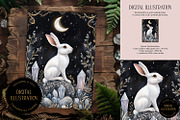 White Crystal Hare Illustration, an Animal Illustration by The Dutch Lady Designs (Thumbnail 1 of 4)
