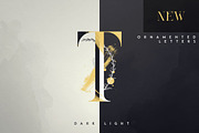 SALE! Black Gold serif typeface, a Serif Font by VP Fonts (Thumbnail 7 of 25)