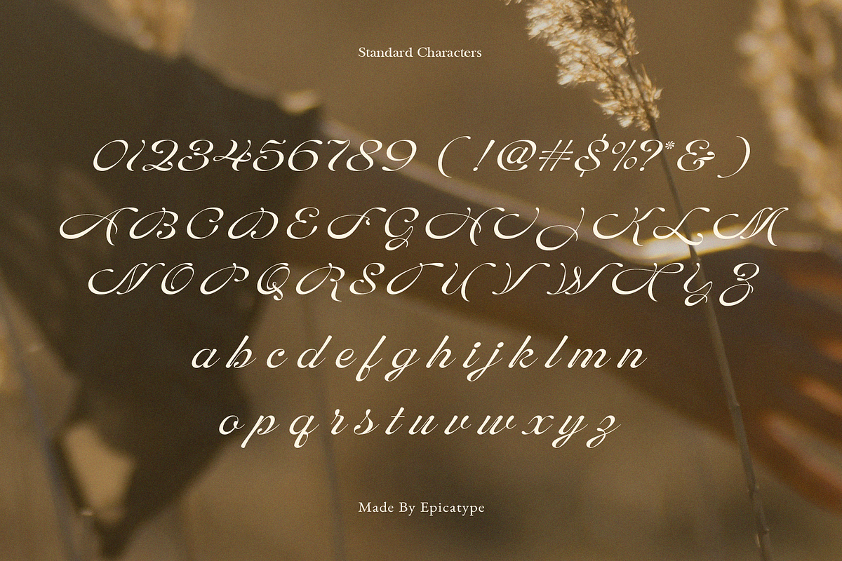 Melodine || Classy Script, a Script Font by epicatype (Photo 10 of 10)