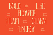 Bagena Mathew Bold Tall Serif, a Serif Font by timelesstype.co (Thumbnail 6 of 20)