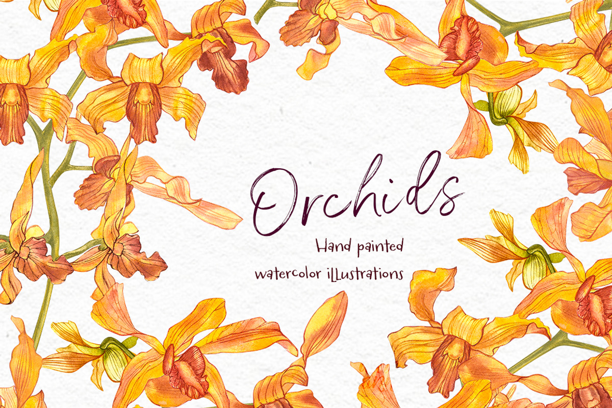 Orchids branch in botanical style, a Decorative Illustration by Ann Astro (Photo 8 of 15)