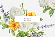 Essential Oils Botanical watercolor, a Healthcare Illustration by Volha Studio (Thumbnail 11 of 11)
