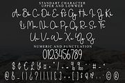 Stanting, a Handwritten Font by FreshTypeINK (Thumbnail 6 of 8)