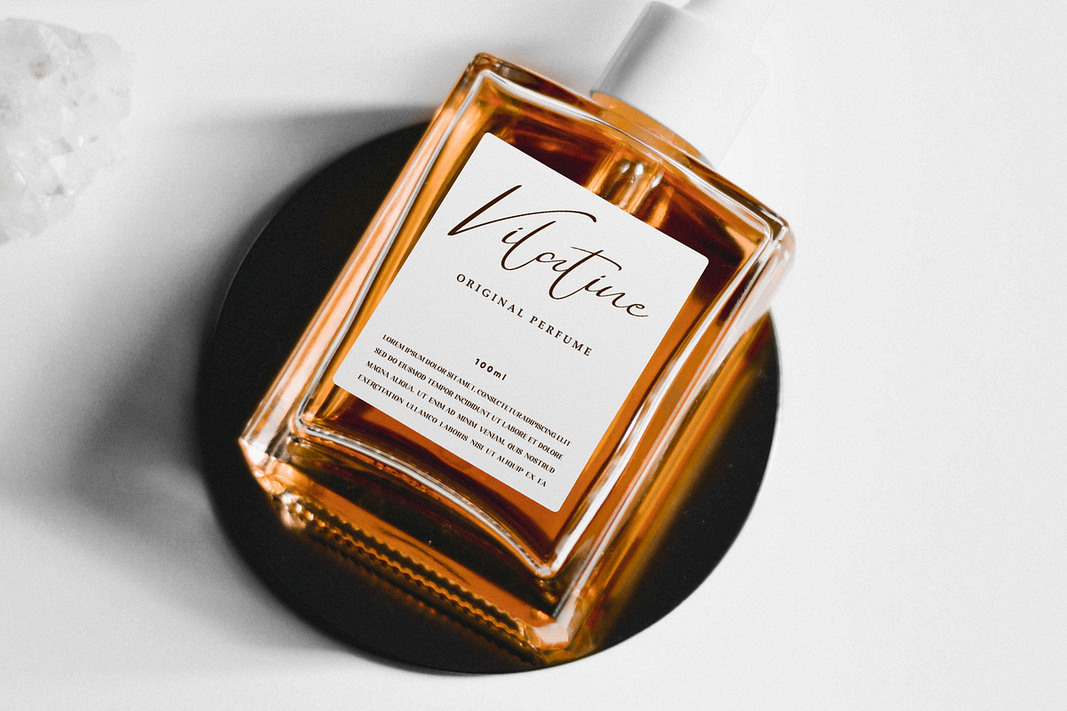 Daylight Welington, a Script Font by Essentials Studio (Photo 5 of 7)