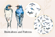 Swallows Watercolour Set, a Decorative Illustration by Tati Bordiu (Thumbnail 3 of 6)