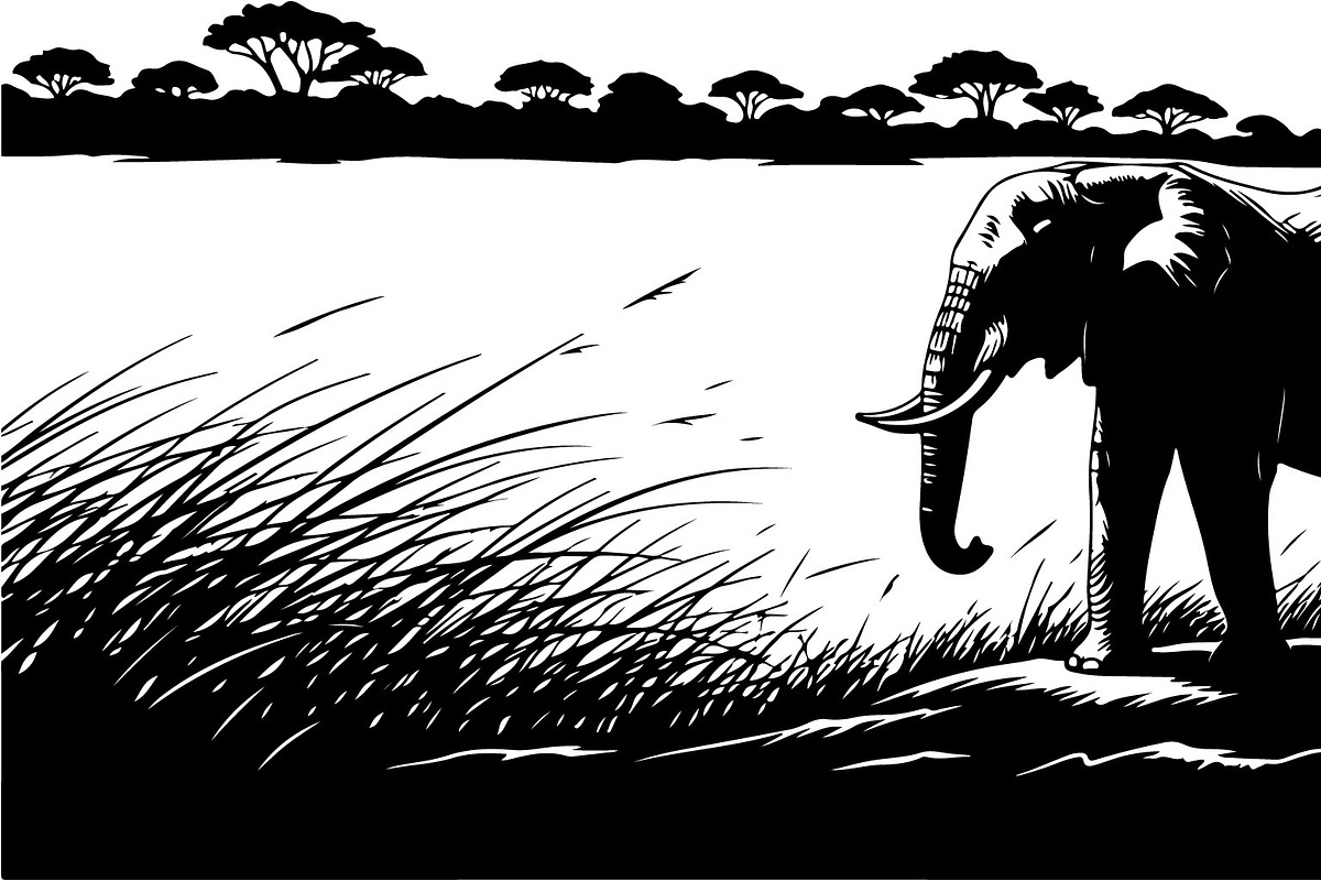 Wild Elephant Silhouette Set, an Illustration by jahid234 (Photo 3 of 21)
