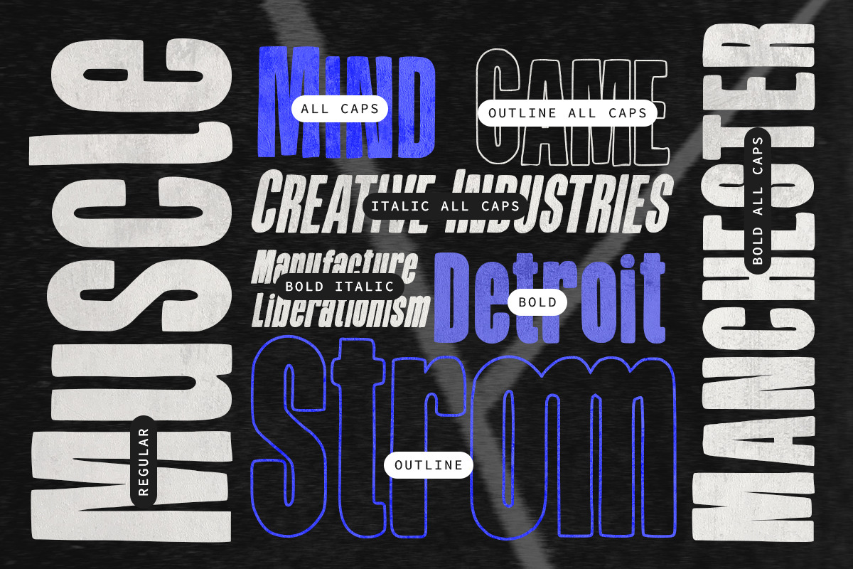 Breakbeat Ringtone, a Sans Serif Font by Youngtype.Std (Photo 3 of 10)