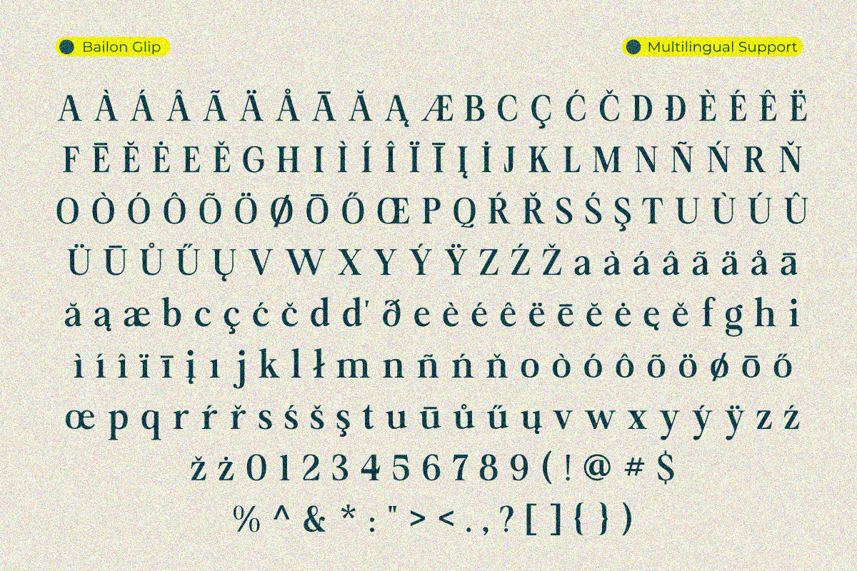 Bailon, a Serif Font by Zafiratype (Photo 14 of 15)