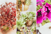 May Floral Bundle 1, a Household Mockup by Paisley Barn Design (Thumbnail 3 of 6)