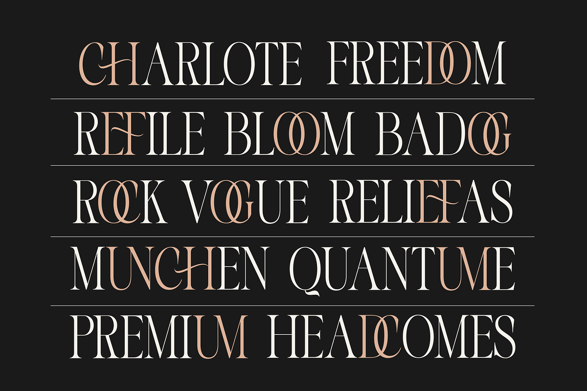 More Bright Serif Duo, a Serif Font by zeenesia (Photo 2 of 18)
