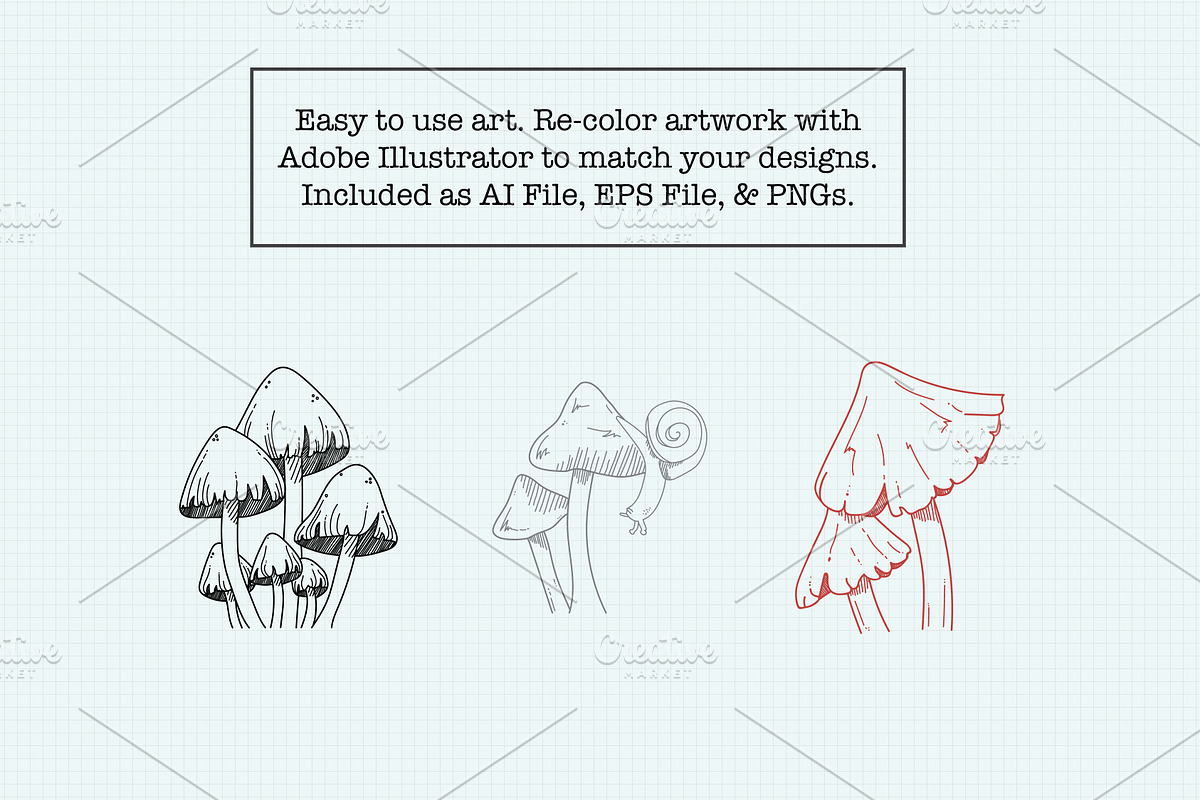 Mushroom Sketch Clipart Collection, an Illustration by Hannah Eliza Studio (Photo 3 of 5)
