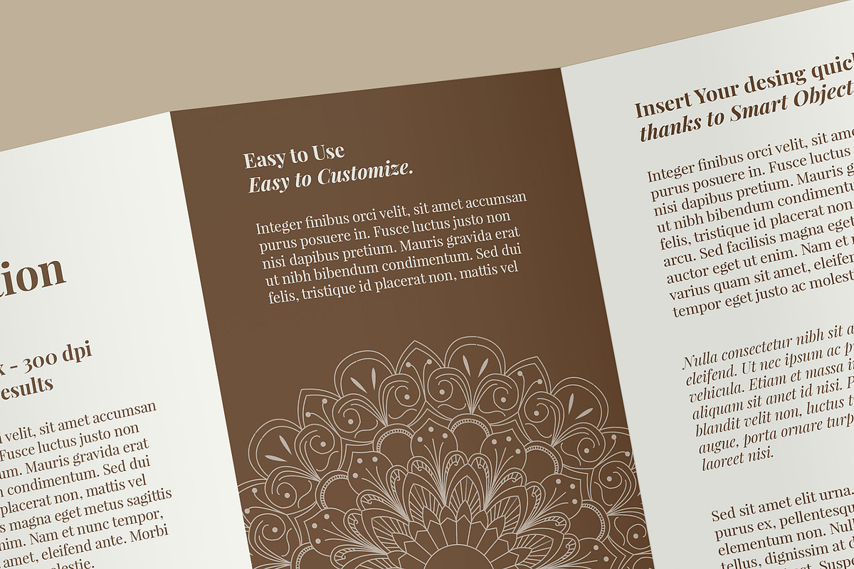 4 Fold DL Brochure Mockup - 8 Views, an Advertising Mockup by Illusiongraphic (Photo 19 of 20)