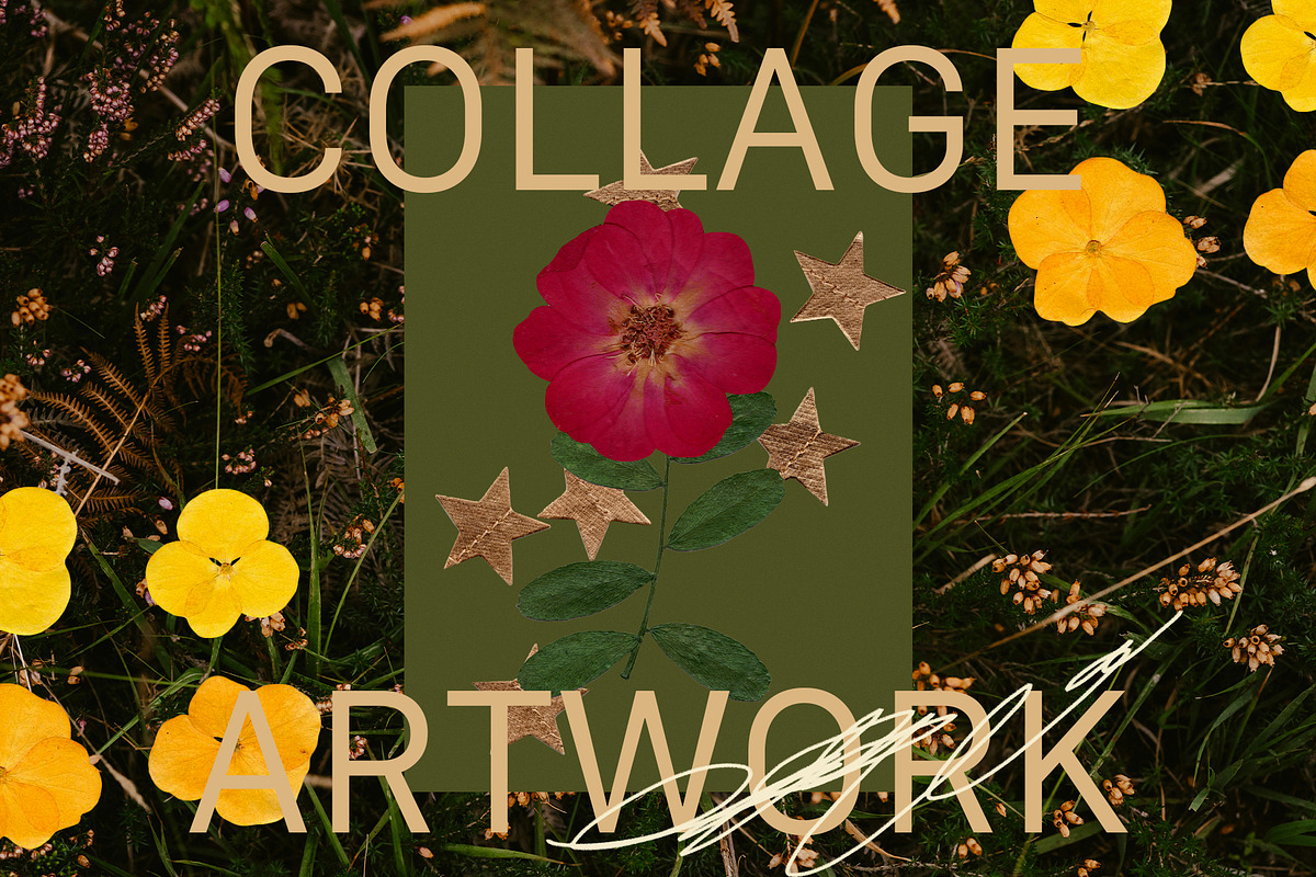 PRESSED BLOOMS Floral Cutouts, an Object Graphic by Desert Poetic (Photo 2 of 7)