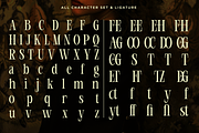 Desqire - Luxury Serif Typeface, a Serif Font by NexaLine (Thumbnail 9 of 10)