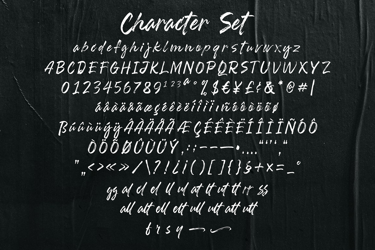 Stallion Beatsides - Dry Brush Font, a Handwritten Font by VASTARD STUDIO (Photo 9 of 12)