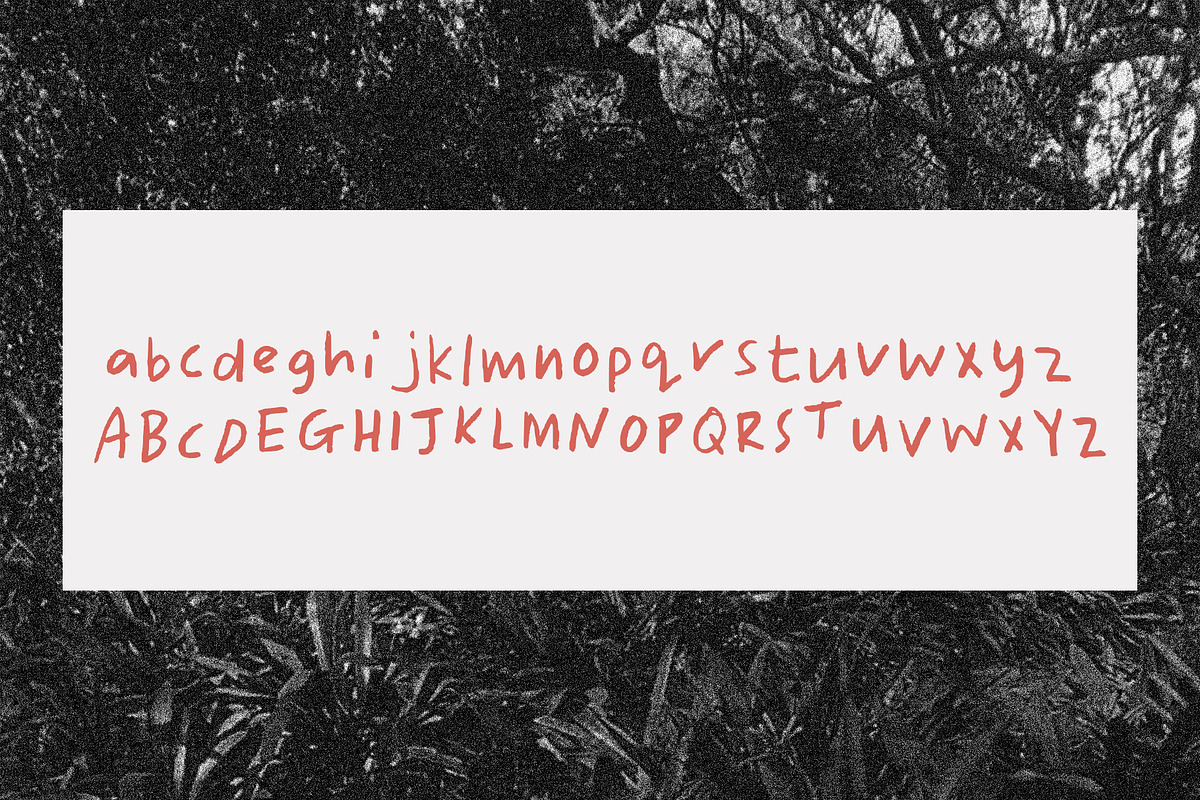 By A Lady, a Handwritten Font by Ulrike Mieke (Photo 3 of 3)