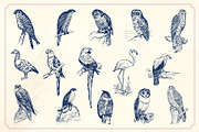 Vintage Hand Drawn Birds, an Object Graphic by Mr Vintage (Thumbnail 4 of 6)