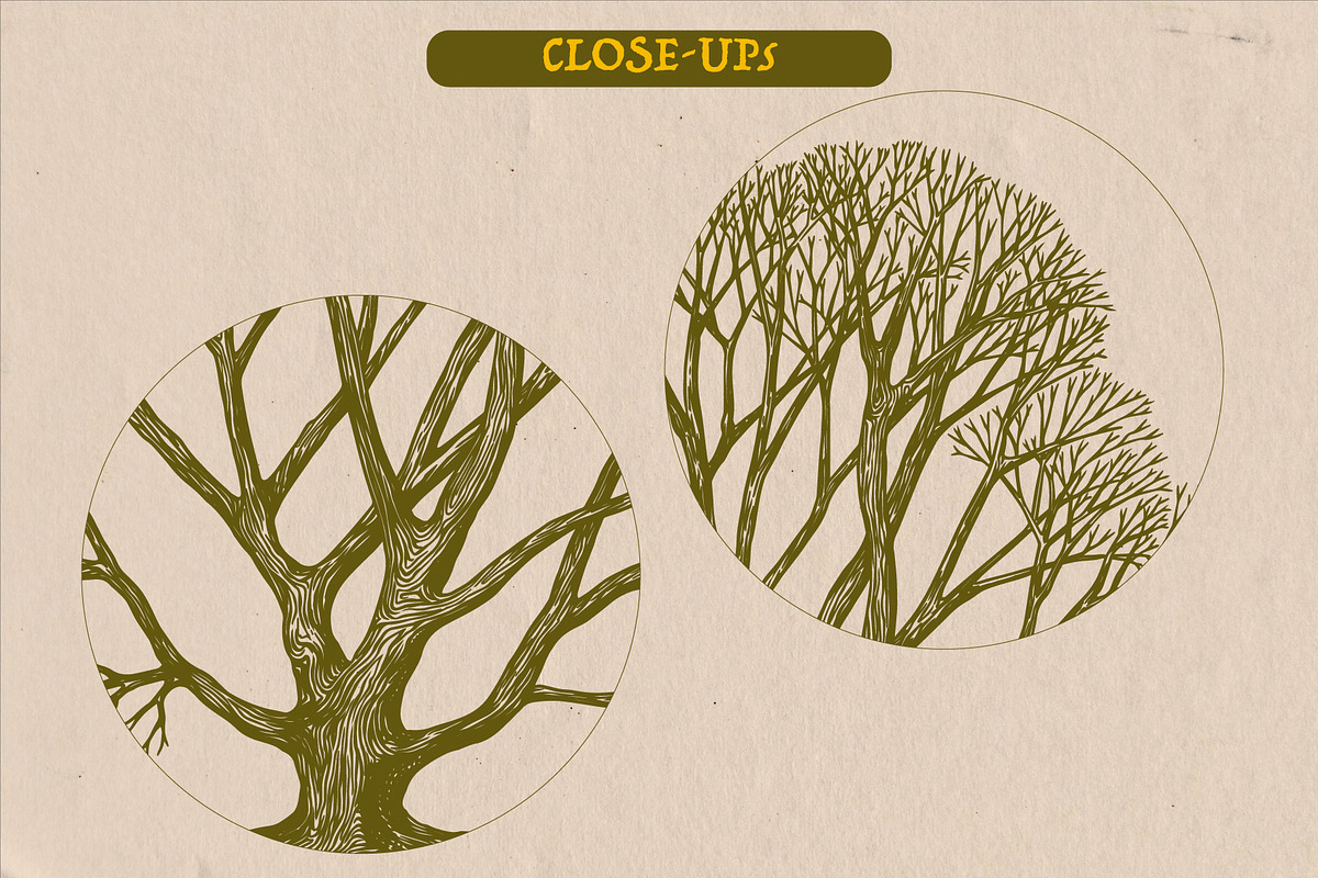 Oak Tree engraving Bundle, an Object Illustration by Arthur Balitskiy (Photo 4 of 4)