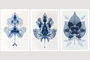 Role Co. Cyanotype Leaf in Symmetry, a Texture Illustration by milatovar (Thumbnail 6 of 21)