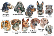 Hunter Dogs Watercolor Set 2, an Animal Illustration by Malena (Thumbnail 2 of 4)