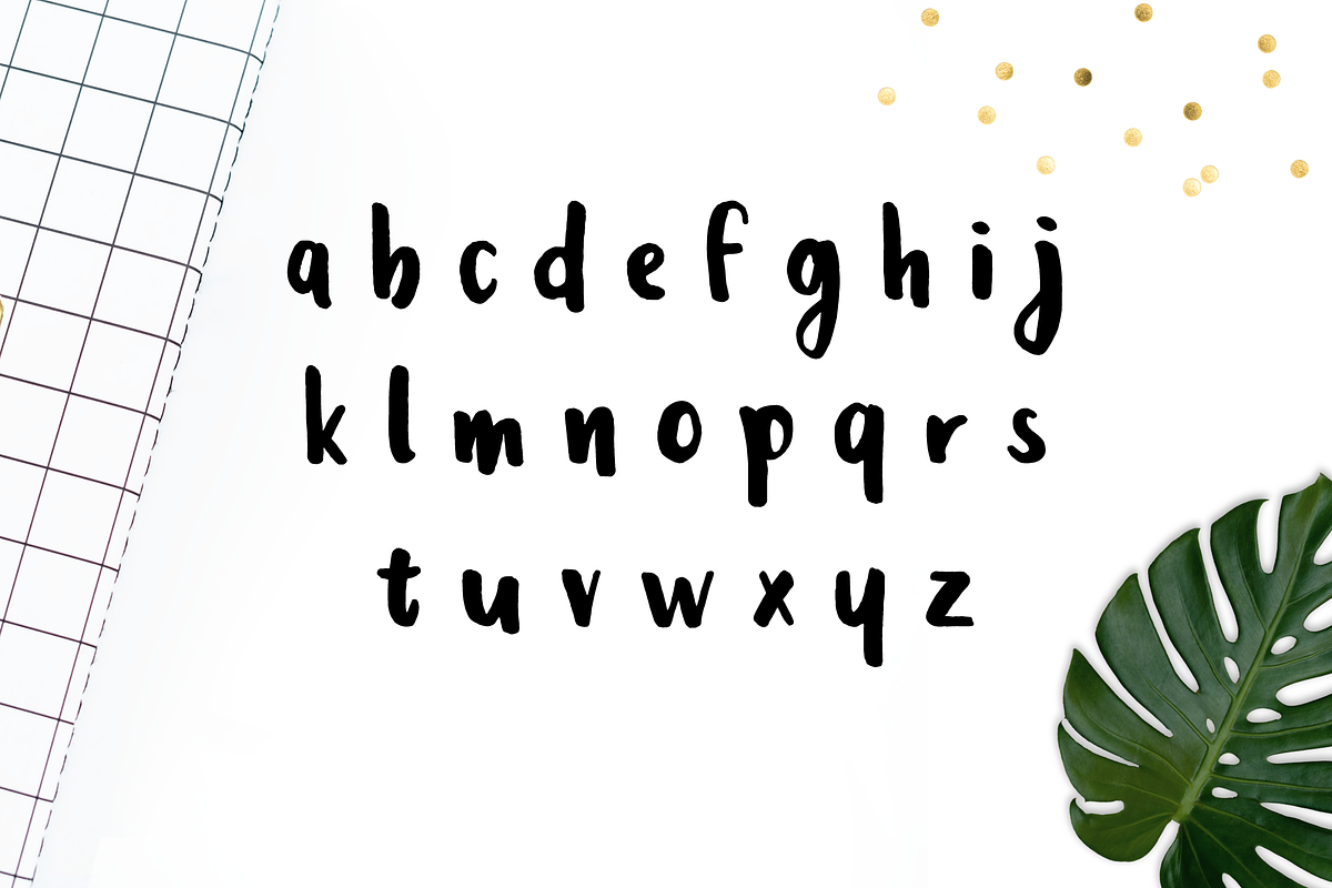 Leira Extended Hand Drawn Brush Font preview 3